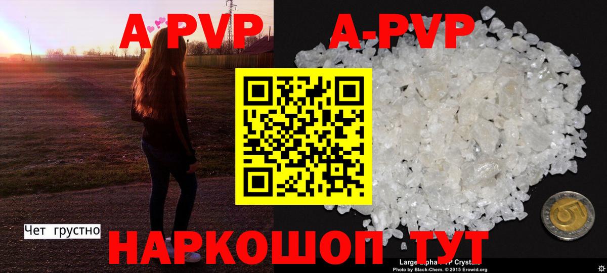 Альфа ПВП СК Алейск