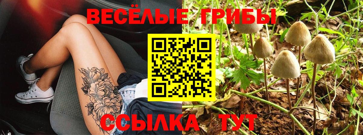 Псилоцибиновые грибы Cubensis Алейск