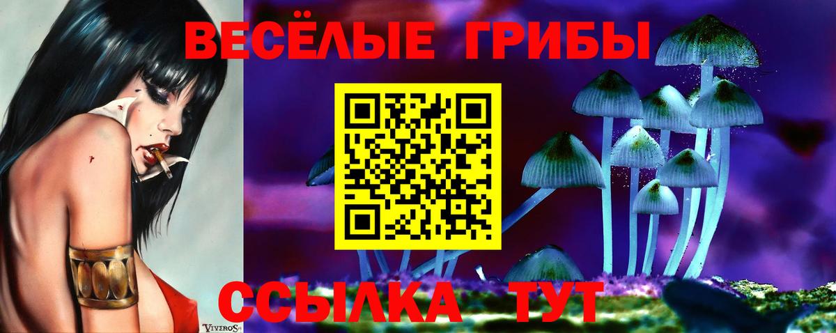 Псилоцибиновые грибы GOLDEN TEACHER  купить   Алейск  Вход с VPN 
